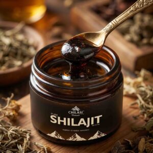 Pure Chillasi Natural Shilajit Resin (100g)